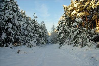 《巴比伦的陨落》Steam锁国区 推荐RTX 3060显卡